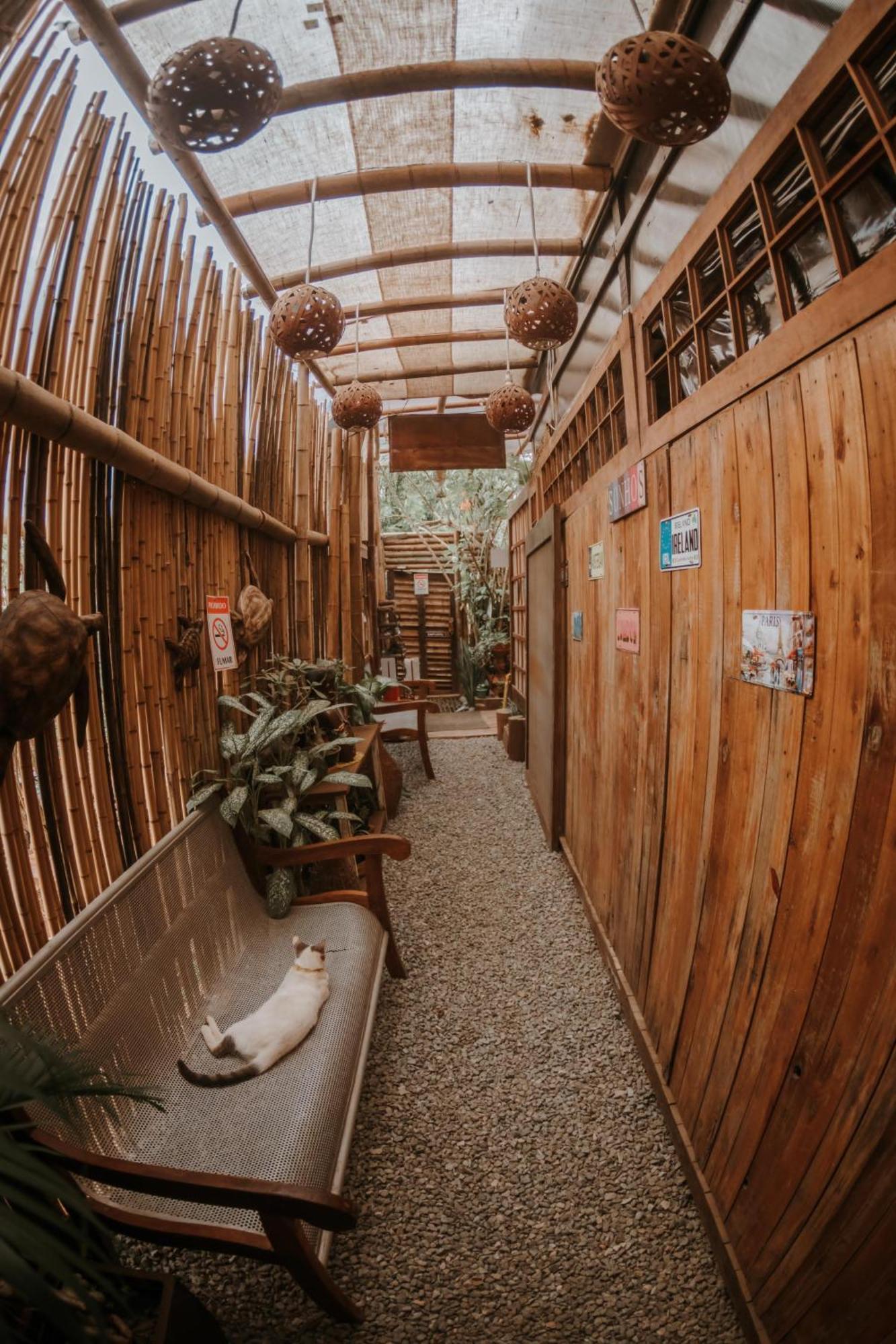 Doce Lar Hostel Noronha Fernando de Noronha Extérieur photo